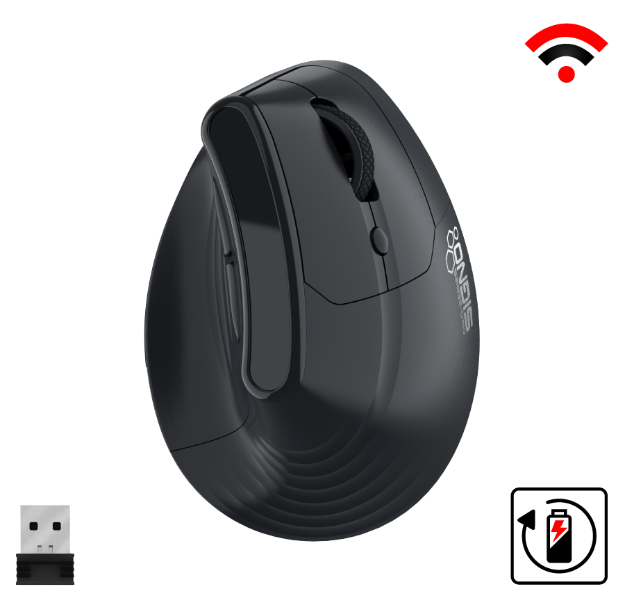 mouse