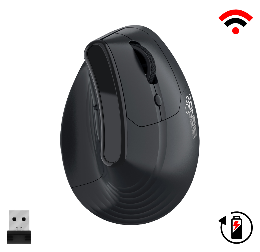 mouse