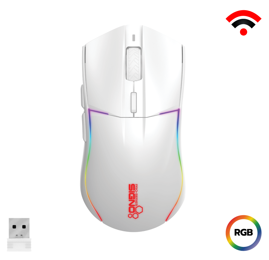 mouse