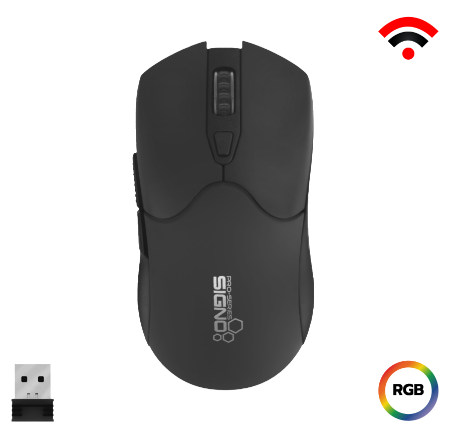 mouse