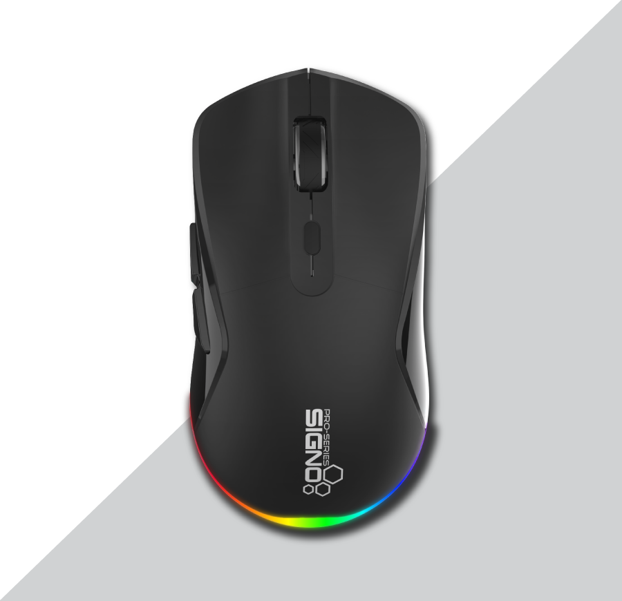 mouse